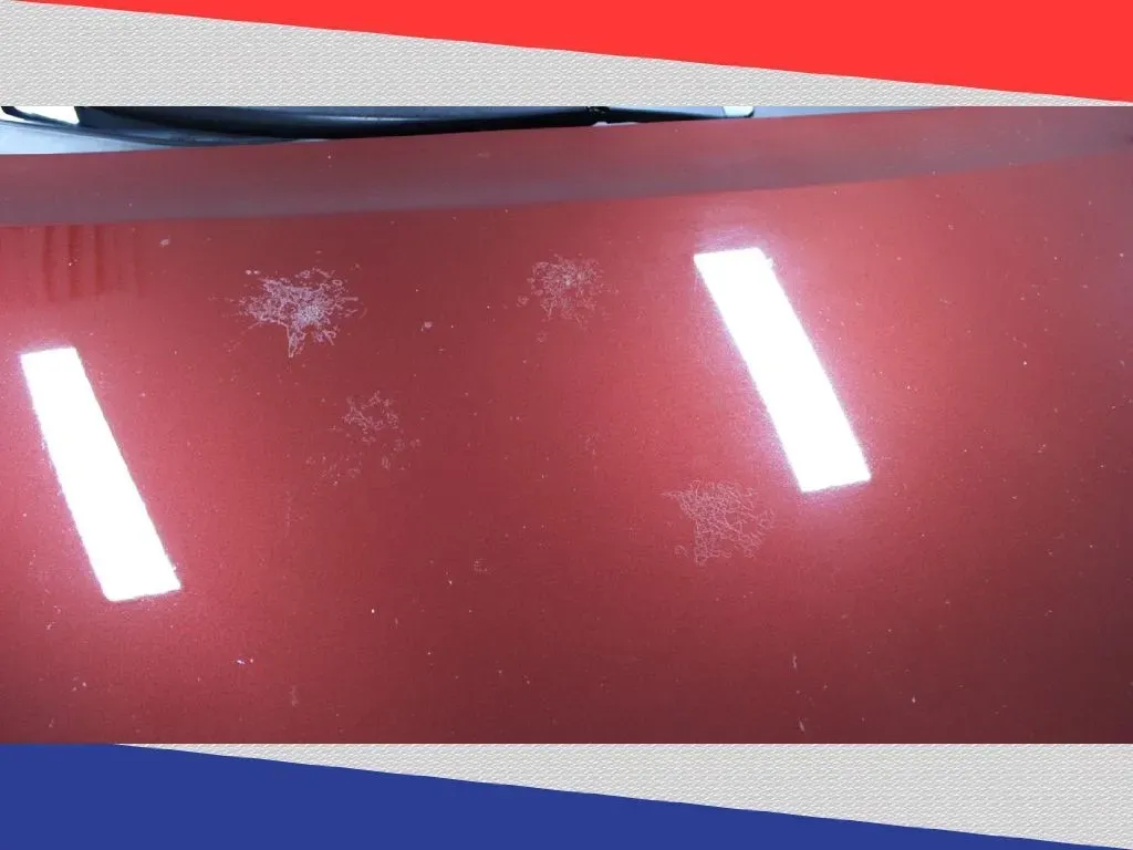 2017 Toyota Sienna LE 8-Passenger (5TDKZ3DC7HS) with an 3.5L V6 EFI DOHC 24V engine, 8A transmission, located at 5170 N La Cholla Blvd, Tucson, AZ, 85705, (520) 989-0282, 32.228245, -111.011742 - Looking for the perfect family minivan that can handle weekend adventures, school runs, and everything in between? Look no further than this stunning 2017 Toyota Sienna LE Auto Access Seat, available now at Goliath Auto Sales in Tucson, AZ. Whether you're navigating the busy streets of Oro Valley or - Photo#28